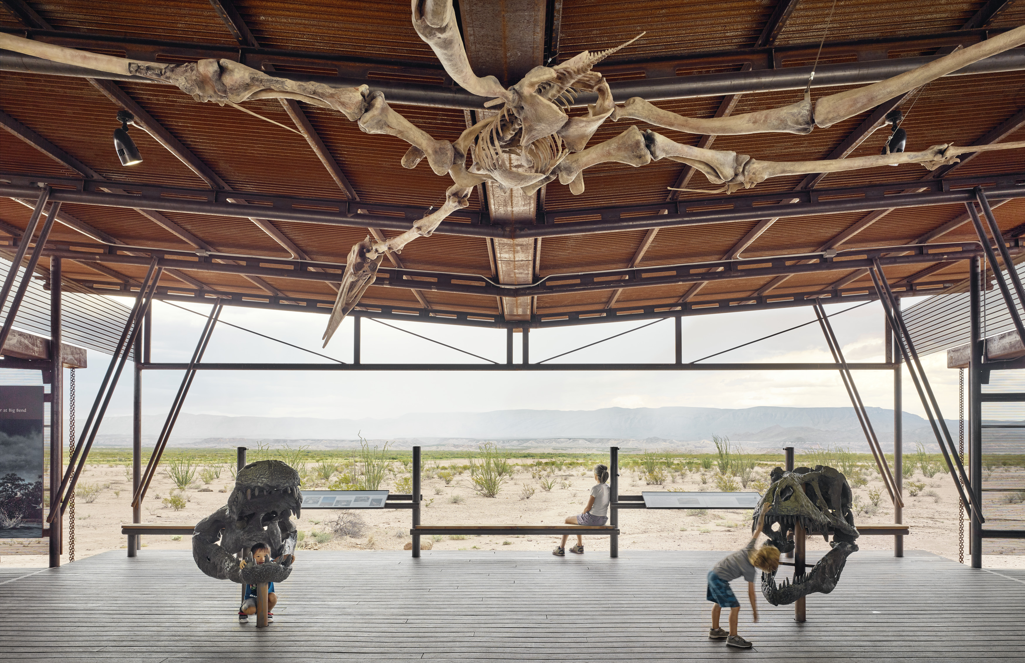 Big Bend Fossil Discovery Exhibit Lake Flato