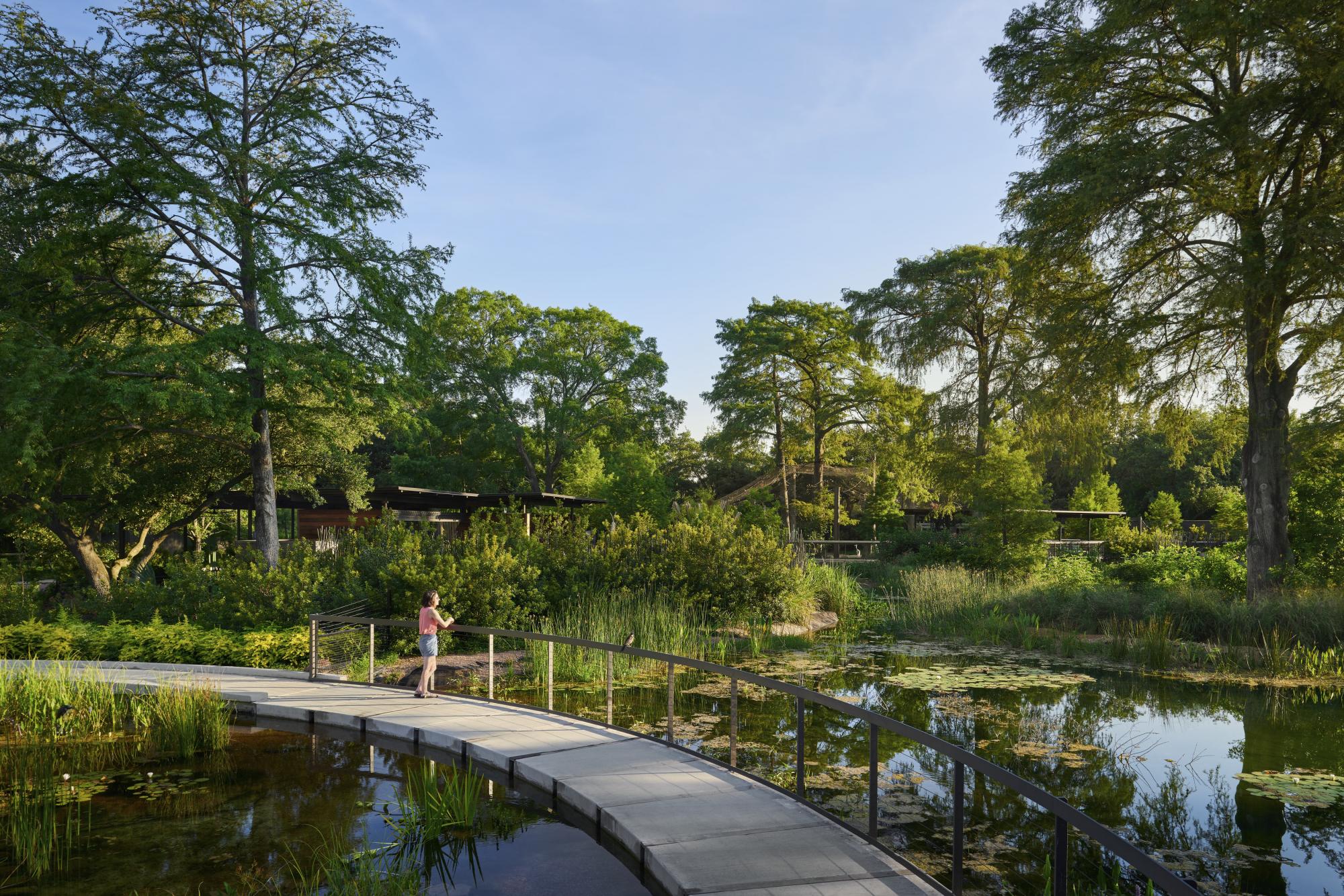 Houston Zoo Cypress Circle Cafe & Wetland | Lake Flato