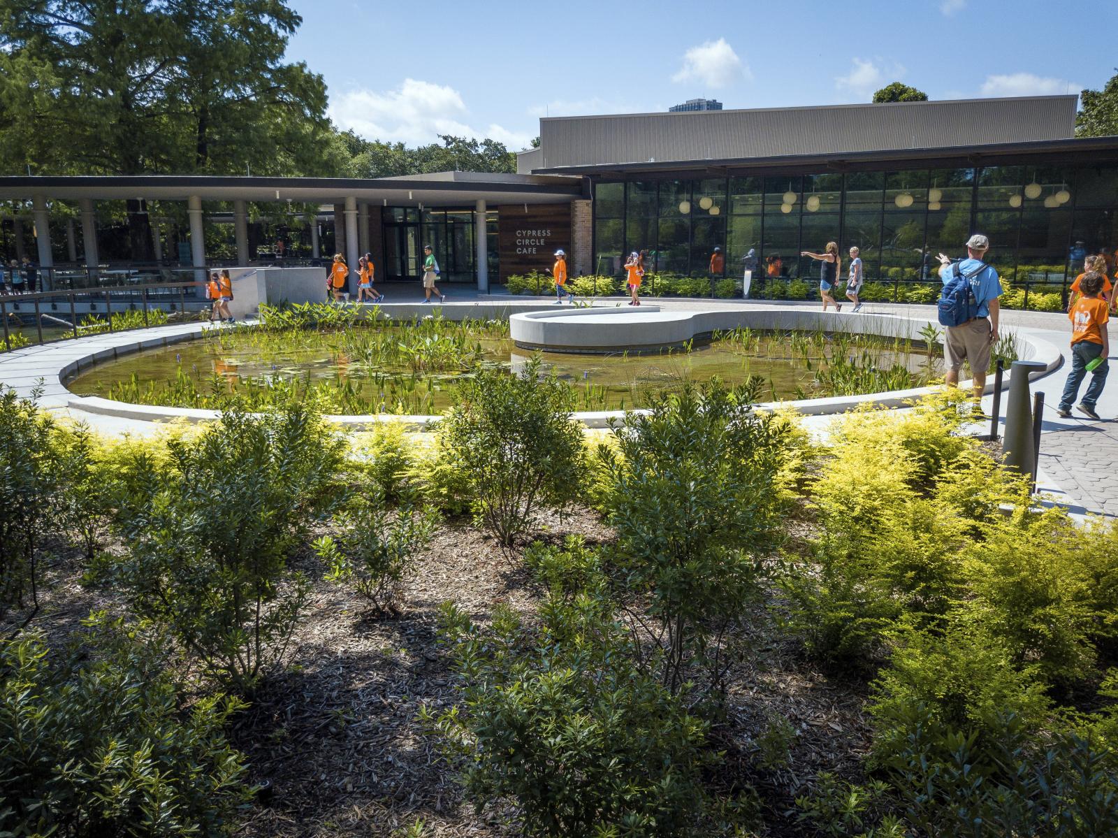 A redesigned front entrance, Cypress Circle Cafe sited along the Zoo’s new multi-species Texas Wetlands habitat creates a new iconic identity and positions the zoo as leaders in conservation and education. Green Restaurant Certified.